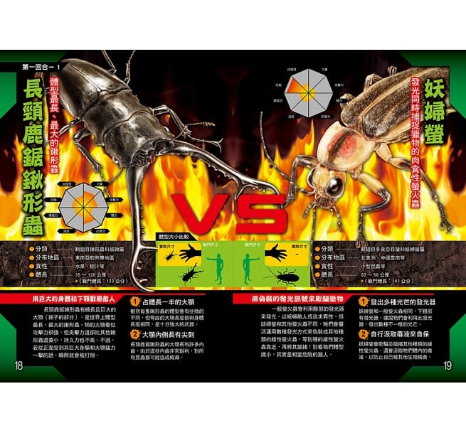 昆蟲最強王圖鑑：NO.1爭奪淘汰賽